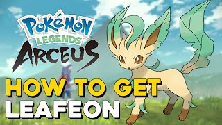 Pokemon Legends Arceus How To Get Leafeon How To Evolve Eevee into Leafeon [upl. by Kerman]