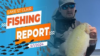 The Lake St Clair Fishing Report 512024 [upl. by Karlin]