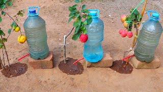 Como hacer SISTEMA DE RIEGO POR GOTEO facil barato y rapido con botellas de plastico reciclado [upl. by Katalin]