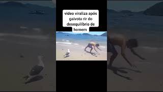 A felicidade da gaivota reels humor rota memes trechosdeseries comedia rotafilmes chuvas [upl. by Ennayllek184]