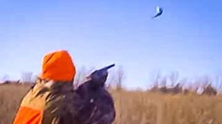 Amazing South Dakota Pheasant Hunting [upl. by Nnyletak319]