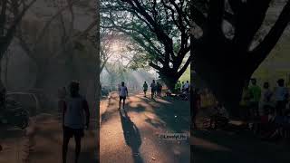 CUSAT campus early morning CUSAT kochi kalamassery Ernakulam kerala shorts shortfeed [upl. by Nitsirc]