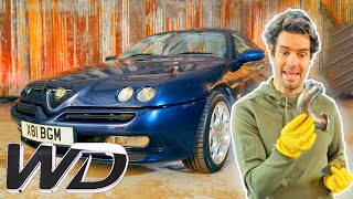 Elvis Revives A Neglected Alfa Romeo GTV  Wheeler Dealers [upl. by Odlonra]