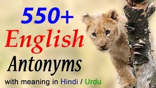 English Antonyms words list with meaning and examples in Hindi learn online [upl. by Jacobsen]