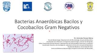 Bacterias Anaeróbicas BGN [upl. by Virginie]