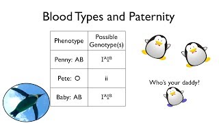 Blood Types and Paternity [upl. by Ytinav]