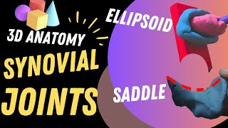 Synovial Joints  IN FIFTEEN MINUTES [upl. by Cory]