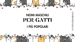 Nomi per gatti maschi  I più usati [upl. by Doble]