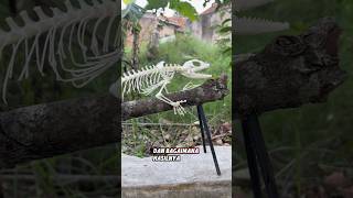 GODZILLA KEMASAN SASET articulating skeleton soa layar “hydrosaurus celebensis” [upl. by Amahcen]