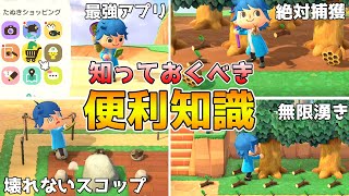 【あつ森】意外と知られていない知識5選！知っていたらあつ森マスター！【あつまれどうぶつの森】 [upl. by Hasseman183]