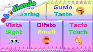 Los cinco sentidos en inglés y español  The five senses in English and Spanish [upl. by Ycnahc]