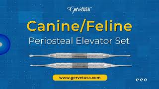 CanineFeline Periosteal Elevators  Veterinary Dental Instruments [upl. by Dickman852]