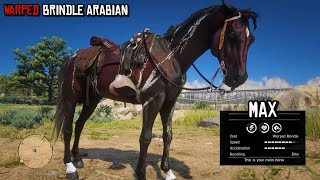 The Most Beautiful Arabian in Red Dead Redemption 2  Warped Brindle Arabian  RDR2  PS4 Slim [upl. by Ruhl]