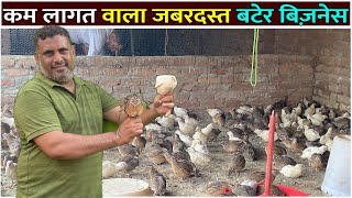 कम ख़र्चे में अच्छा मुनाफा Quail Farming  Bater Farming In India [upl. by Francoise]