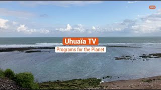 BouyguesInside Ushuaïa TV Programs for the Planet [upl. by Eiznikam]