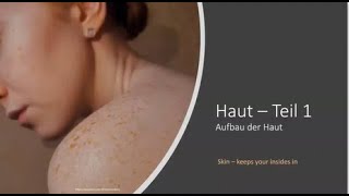 Aufbau der Haut  Teil 1 Epidermis Dermis Subcutis einfach erklärt [upl. by Shaine701]