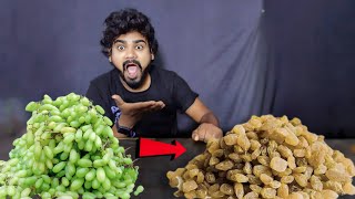 अंगूर से किशमिश कैसे बनाएं  अंगूर से किशमिश कैसे बनता है  How to make raisins from grapes [upl. by Arnon]