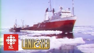 Land amp Sea A rescue aboard the icebreaker The Grenfell [upl. by Monney414]