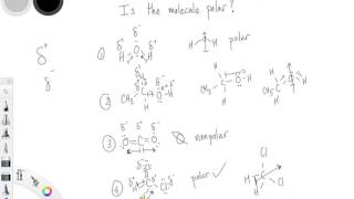 Molecule Polarity Practice [upl. by Nairam]