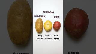 Potatoes Explained cooking shorts [upl. by Underwood]