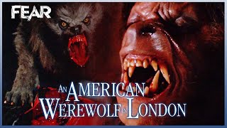 Death Count  An American Werewolf In London 1981  Fear [upl. by Darcie806]