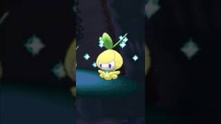 SHINY PETILIL ✨ PHASE 4 pokemmo twitchstreamer [upl. by Frantz341]