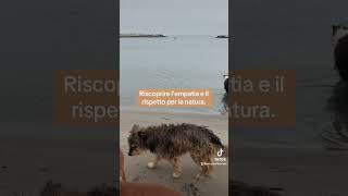 riscoprire l’empatia e il rispetto per la natura vacanze4zampe mare cani [upl. by Ahilam]