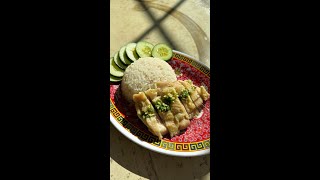 Cooking For One Ep 1  Hainanese Chicken in a Rice Cooker [upl. by Cioban]