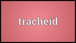 Tracheid Meaning [upl. by Daven]