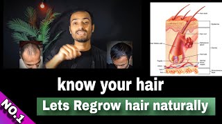 know your hair naturally video no1  hair fall and its solution [upl. by Krisha]