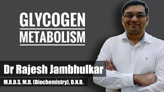 10 Glycogen metabolism Glycogenesis and Glycogenolysis [upl. by Misak]