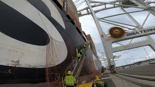 Lashing Container Ships  MSC SAVONA [upl. by Ennaylime]