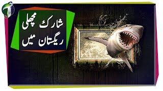 Habitats Finding Shark in Desert Urdu Hindi [upl. by Nivle161]