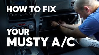 How to Get Rid of the Musty Smell From Your Car’s Air Conditioner  Consumer Reports [upl. by Eremaj]