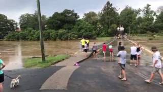 Locals Survey Flooded Bellinger Bridge at Bellingen [upl. by Andree]