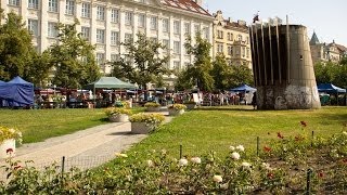 Full HD Besuch Beim Jirak Bauernmarkt In Prag Farmářské tržiště Jiřák Deutsches Video [upl. by Armando751]