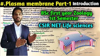 Structure and Composition of Plasma membrane  Cell membrane  BSc  MSc  CSIR NET Life Science [upl. by Yasmine103]