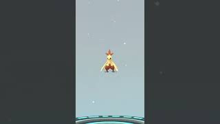 We Caught Shiny Torchic in PokemonGo Aka The Golden Nugget pokémon nintendo pokemonGo [upl. by Ajay173]