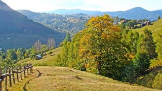 Vine iarasi toamna in orasul meu  Cantec de toamna pentru copii [upl. by Gardas]