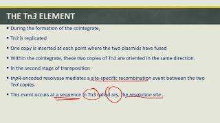 TRANSPOSITION PARTVII TN3 TRANSPOSON [upl. by Liss]