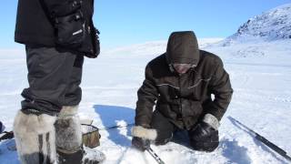 Pêche sur glace à Kangirsuk [upl. by Enaled870]