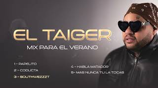 El Taiger  Mix Verano 2024 Oficial [upl. by Eneleuqcaj]