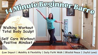 14 Minute Indoor Walking Workout  Beginner Barre  Total Body Tone  Graceful Body 💠 Peaceful Mind [upl. by Ian]