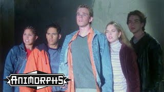 Theme Song  Animorphs  Scholastic Classic [upl. by Etteroma149]