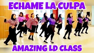 ECHAME LA CULPA Line Dance Demo by AMAZING LD CLASS  Choreo by Wandy Hidayat INA [upl. by Brunhilde476]