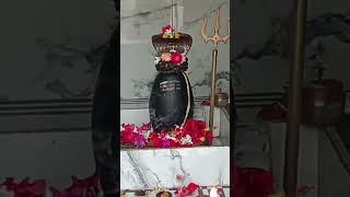 Deeneshwar Mahadev Dhaam pratah shringaar darshan 🙏🌺🙏deeneshwar hridaynath [upl. by Kanter]