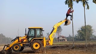 JCB Backhoe HelpingPLUCKING NUTBREAKING TREE [upl. by Vharat]