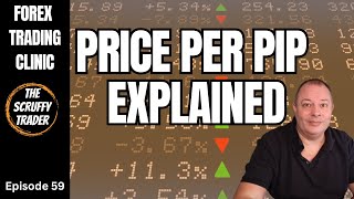 Understanding Price Per Pip and Lot Sizes in Forex Trading  ASK Scruff Ep59 [upl. by Tem]