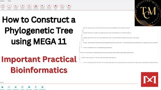 HOW TO CONSTRUCT A PHYLOGENETIC TREE USING MEGA11 I IMPORTANT BIOINFORMATICS PRACTICAL [upl. by Roshan]