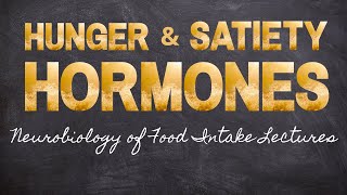 Hormones of Hunger and Satiety  Part 10 Neurobiology of Food Intake  Macronutrients Lecture 46 [upl. by Hanad]